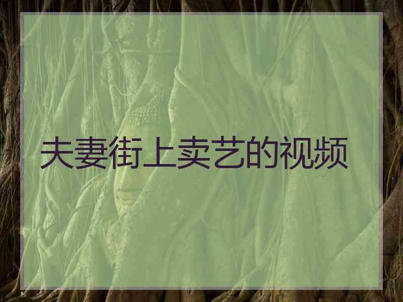 夫妻街上卖艺的视频