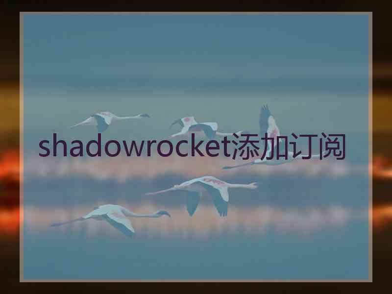 shadowrocket添加订阅
