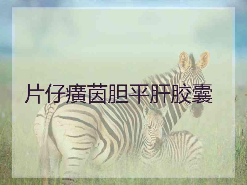 片仔癀茵胆平肝胶囊
