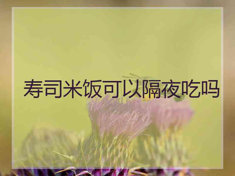 寿司米饭可以隔夜吃吗