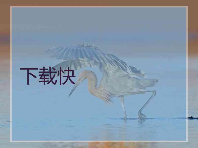 下载快