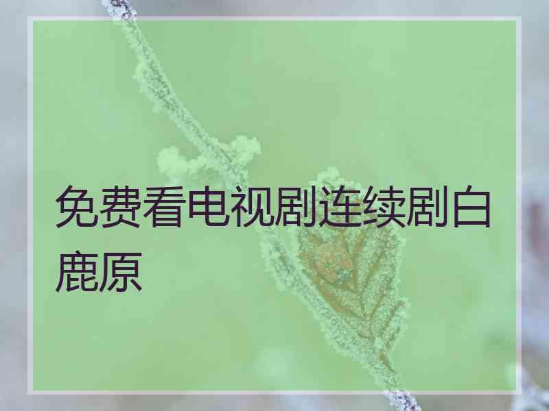 免费看电视剧连续剧白鹿原