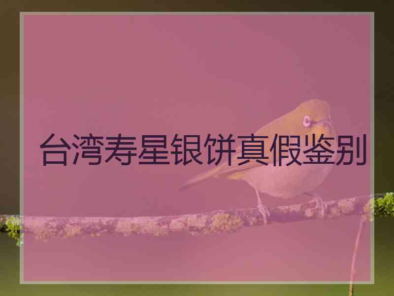台湾寿星银饼真假鉴别
