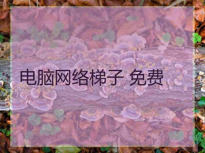 电脑网络梯子 免费
