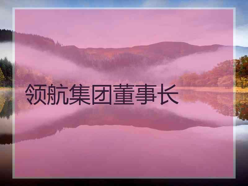 领航集团董事长