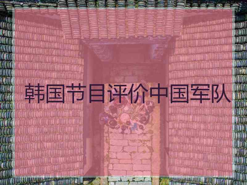 韩国节目评价中国军队