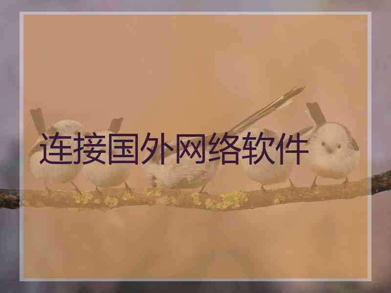 连接国外网络软件
