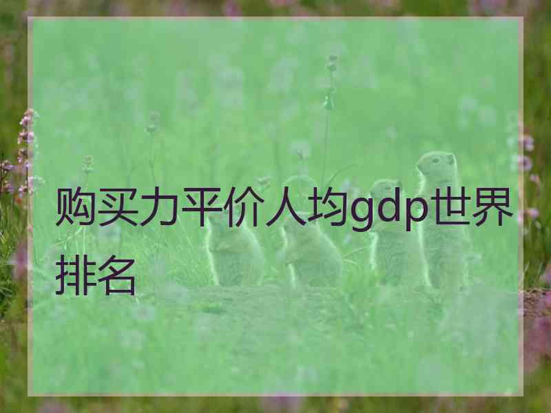 购买力平价人均gdp世界排名