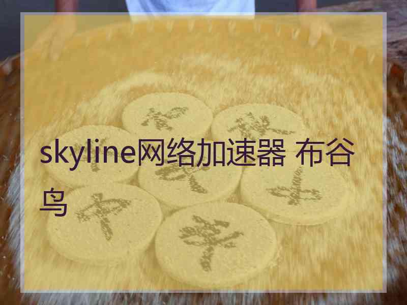 skyline网络加速器 布谷鸟