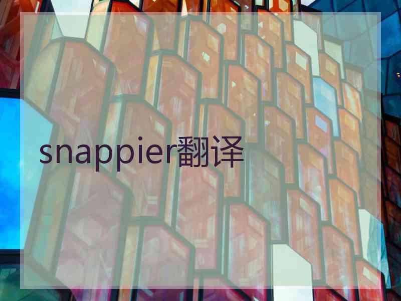 snappier翻译