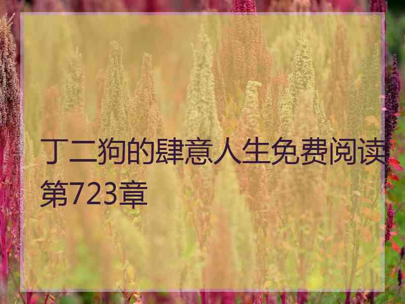 丁二狗的肆意人生免费阅读第723章