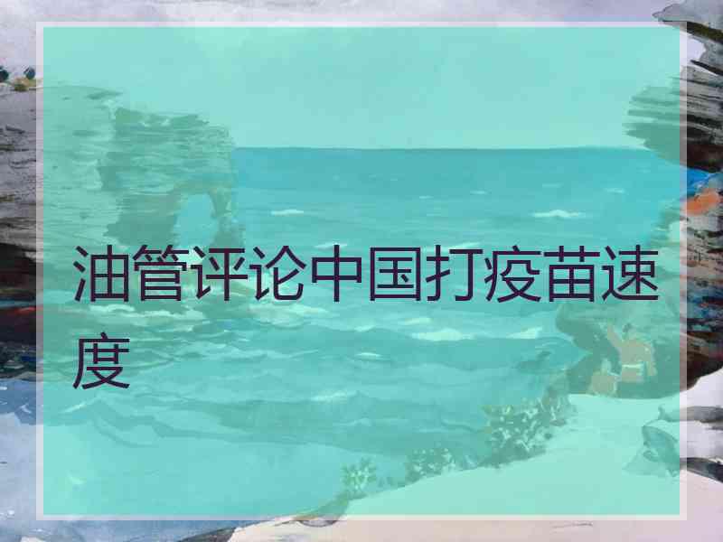 油管评论中国打疫苗速度