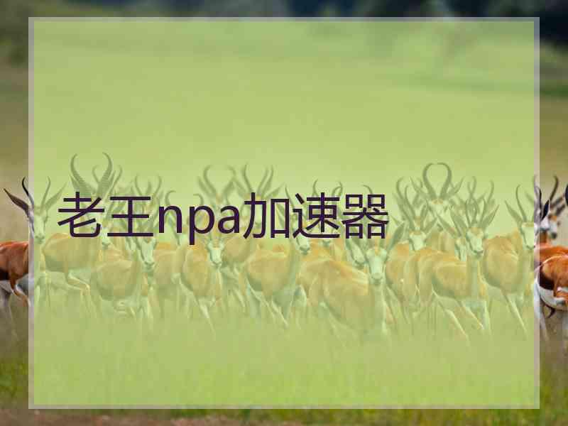 老王npa加速器