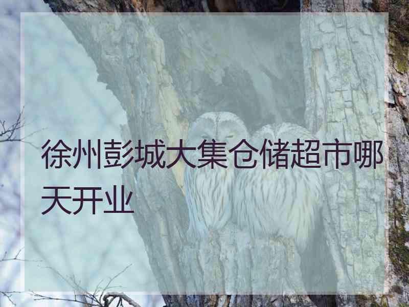 徐州彭城大集仓储超市哪天开业