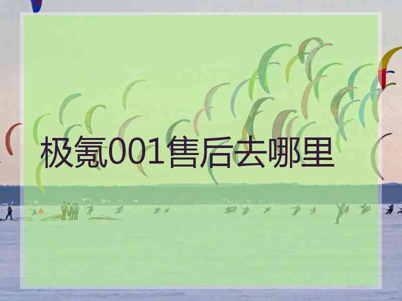 极氪001售后去哪里