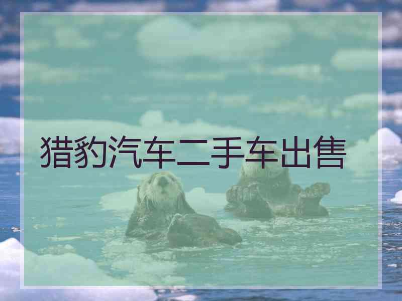 猎豹汽车二手车出售