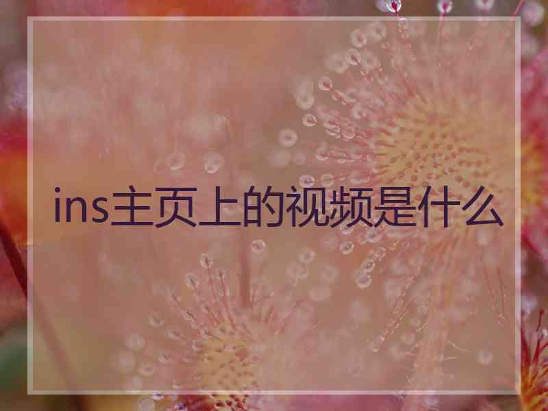 ins主页上的视频是什么