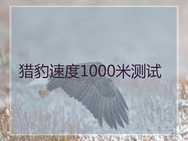 猎豹速度1000米测试