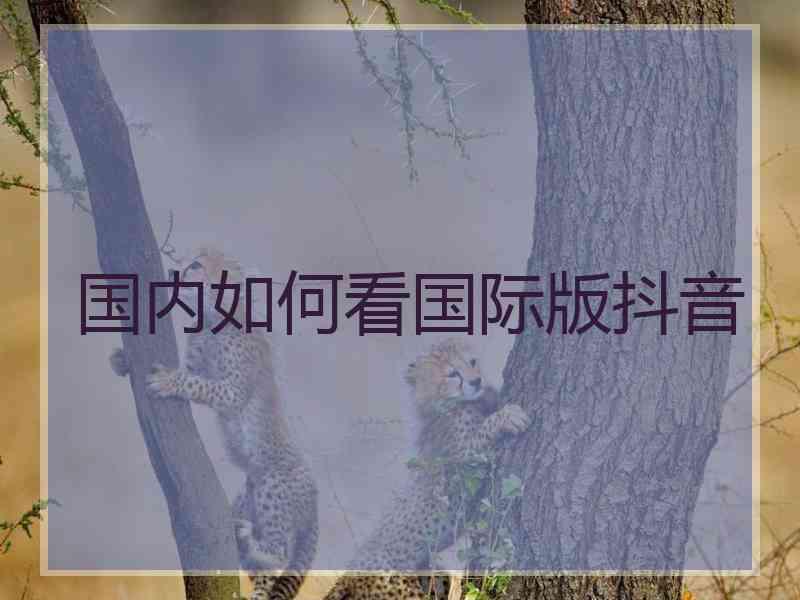 国内如何看国际版抖音