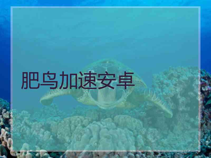 肥鸟加速安卓