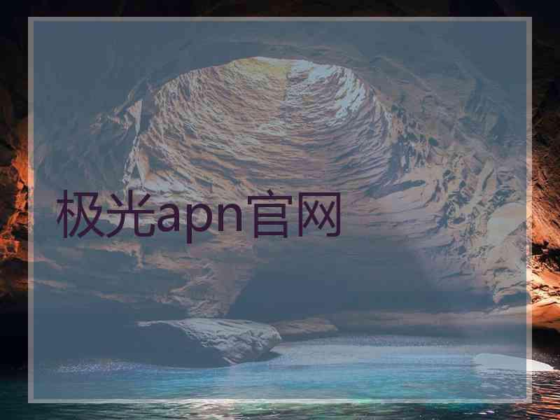 极光apn官网