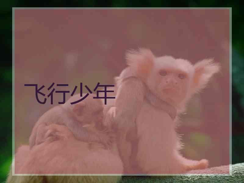 飞行少年