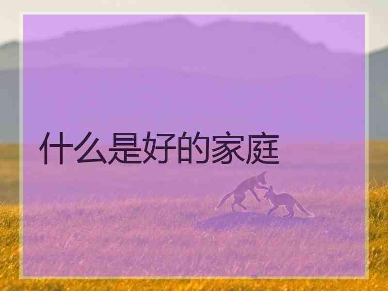 什么是好的家庭