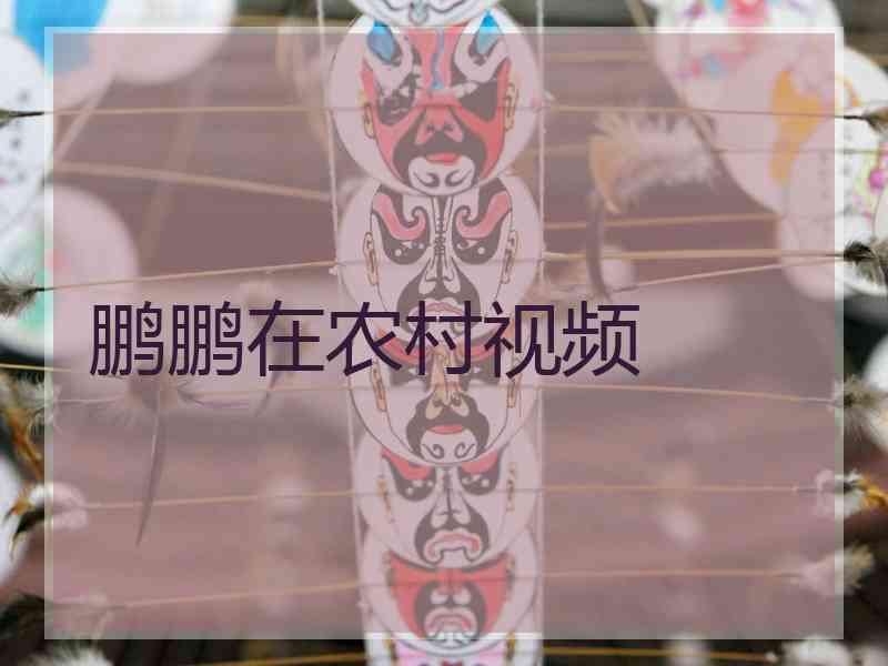 鹏鹏在农村视频