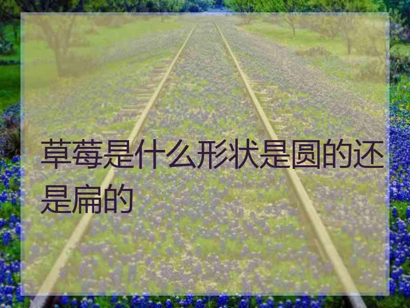 草莓是什么形状是圆的还是扁的