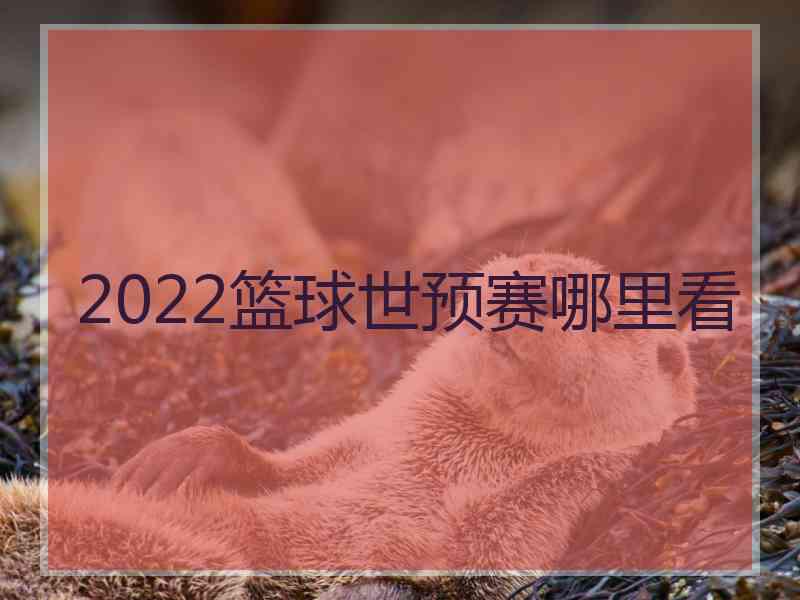2022篮球世预赛哪里看