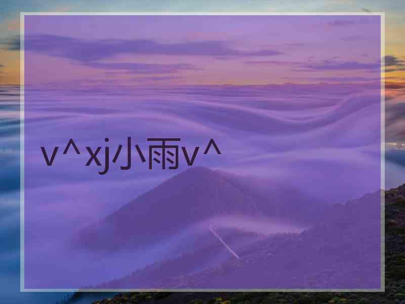 v^xj小雨v^