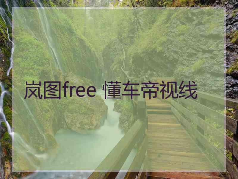 岚图free 懂车帝视线