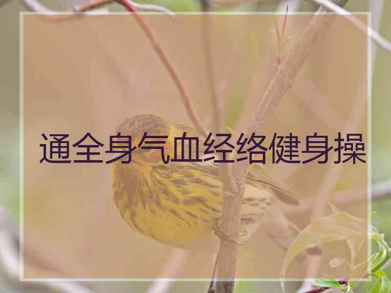 通全身气血经络健身操