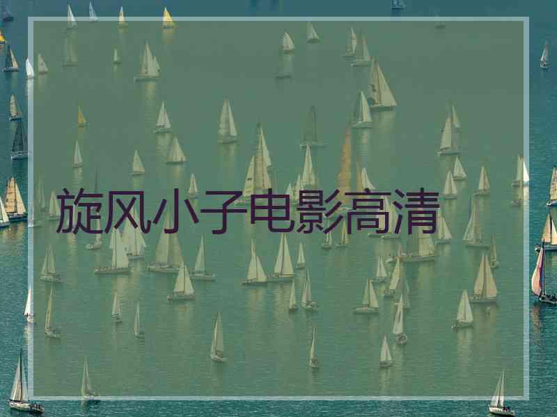 旋风小子电影高清