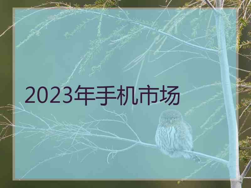 2023年手机市场