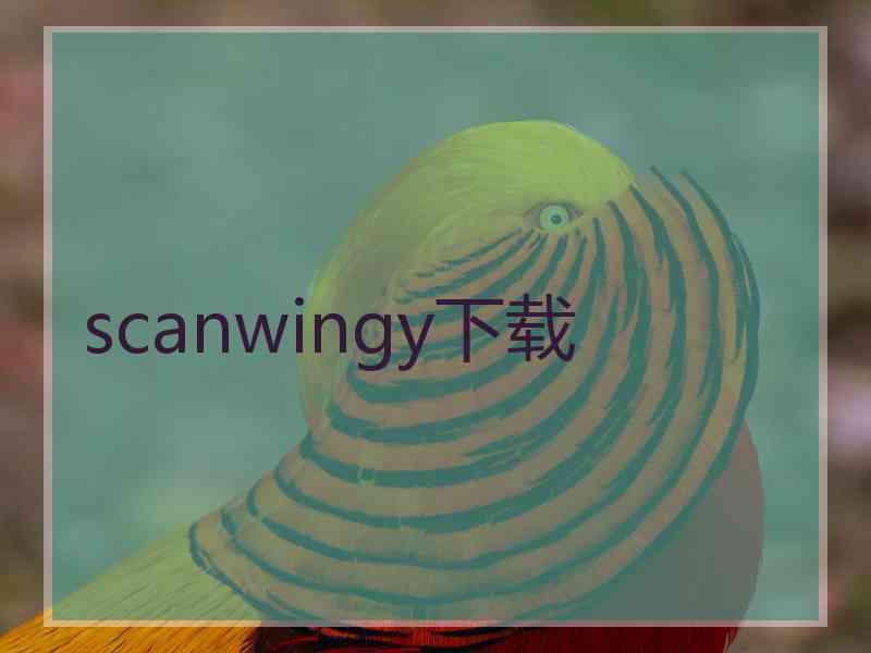 scanwingy下载