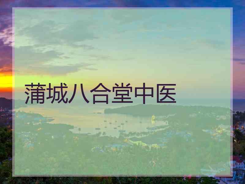 蒲城八合堂中医