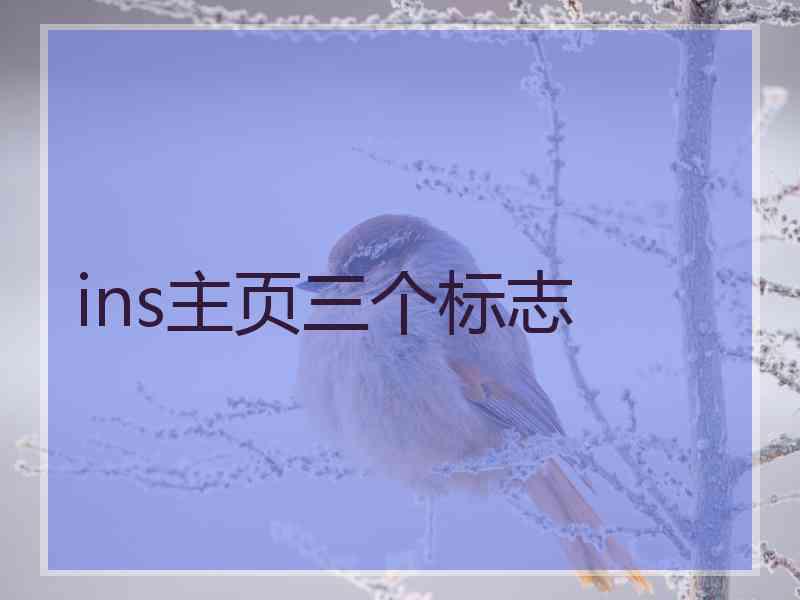 ins主页三个标志