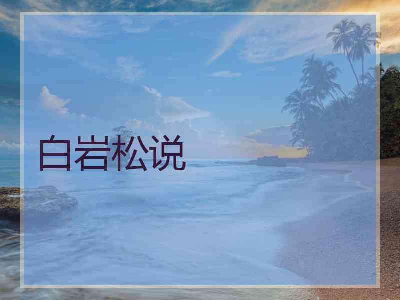 白岩松说