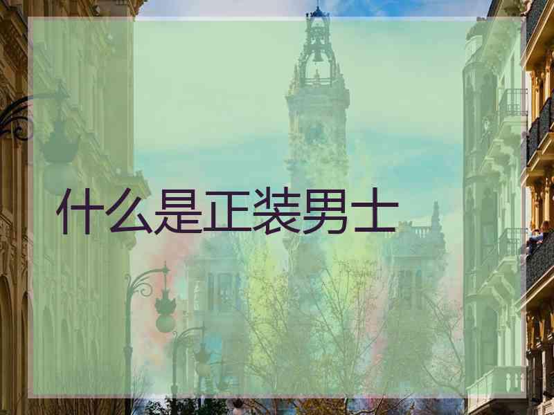 什么是正装男士