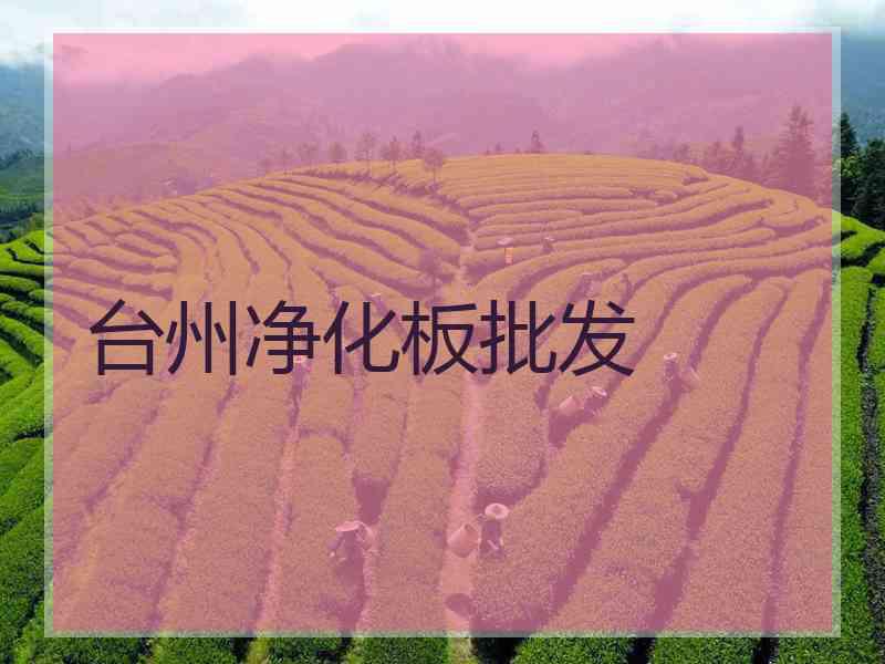 台州净化板批发