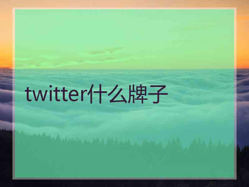 twitter什么牌子