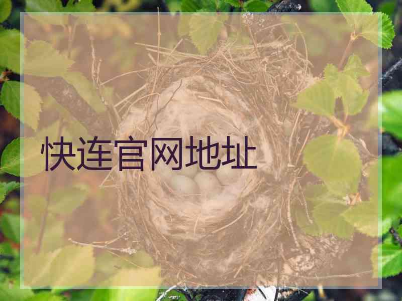 快连官网地址