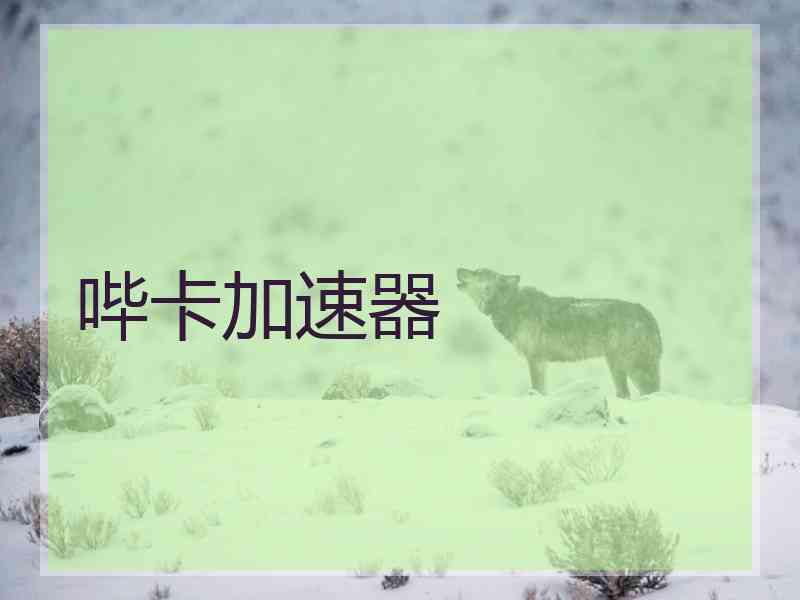 哔卡加速器