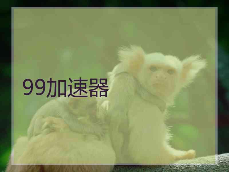 99加速器