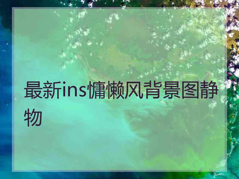 最新ins慵懒风背景图静物