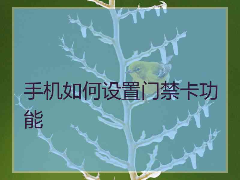 手机如何设置门禁卡功能