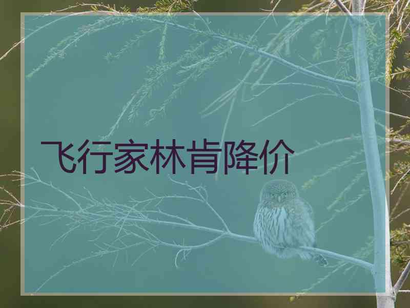 飞行家林肯降价