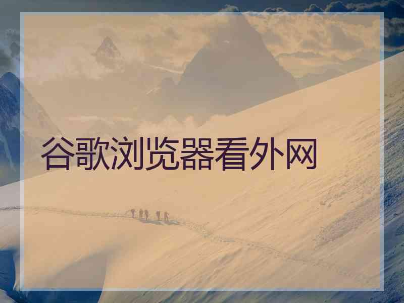 谷歌浏览器看外网