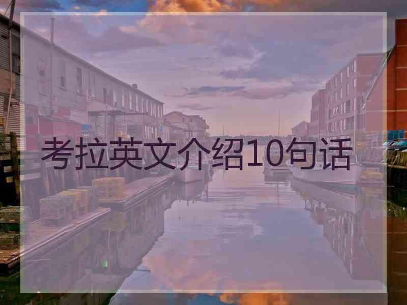 考拉英文介绍10句话